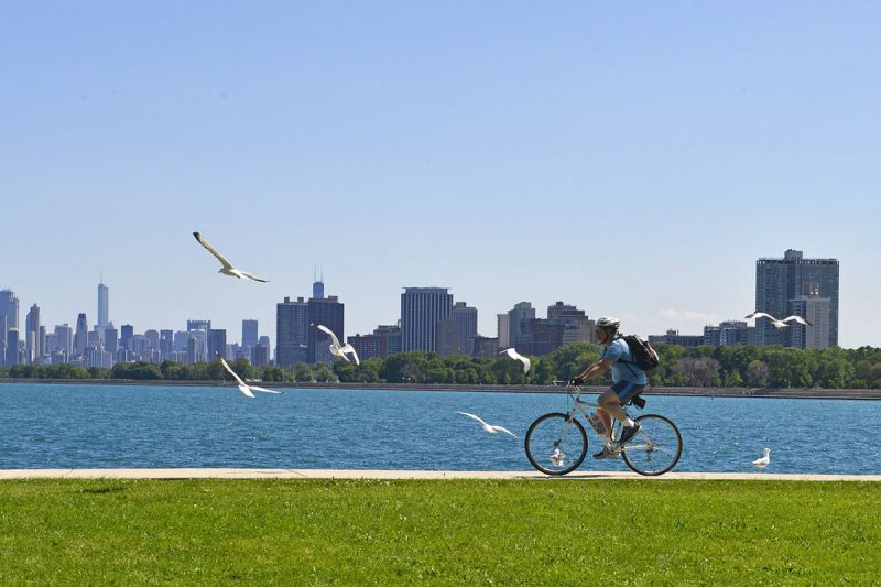 Lakeview: lejos del centro, pero con atractivos &uacute;nicos para alojarse en Chicago