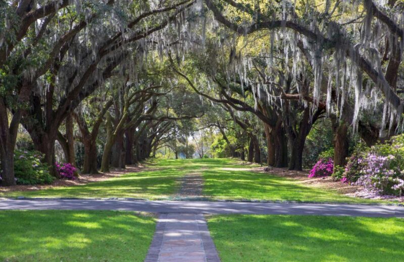 West Ashley, para alojarse en Charleston a buen precio cerca del centro