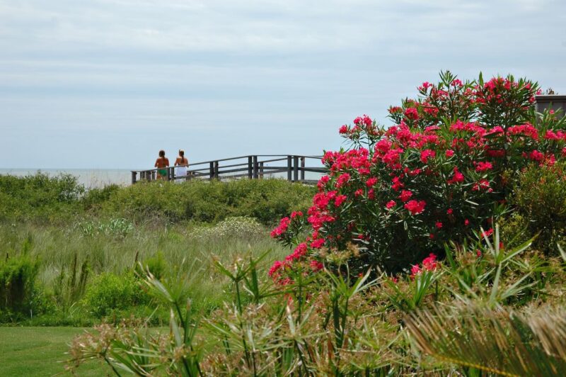 Kiawah Island, belleza natural y hospitalidad sure&ntilde;a